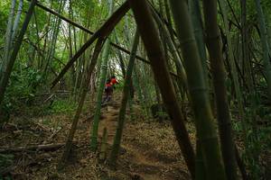 BIB: 
                            <button type="button" onclick="openModal(22242018)" class="btn btn-primary btn-sm float-right btn-popup" data-toggle="modal" data-target=".modal-high-quality">
                        <i class="fas fa-shopping-cart"></i> Add to Cart
                    </button>
                                            <button type="button" onclick="isThisMe(22242018, true)" class="btn btn-success btn-sm float-right btn-popup btn-isme hidden" data-toggle="tooltip" data-placement="bottom" title="นี่คือรูปของคุณใช่ไหม คลิกที่นี่เพื่อเอาเข้าอัลบั้ม">
                        <i class="fas fa-plus"></i> Add to album
                    </button>
                    <button type="button" onclick="isThisMe(22242018, false)" class="btn btn-warning btn-sm float-right btn-popup btn-isnotme hidden">
                        <i class="fas fa-ban"></i> Remove from album
                    </button>